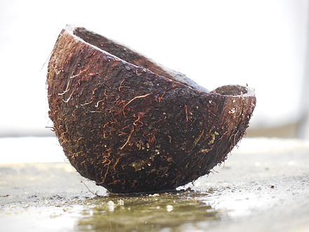 Coconut hinduism